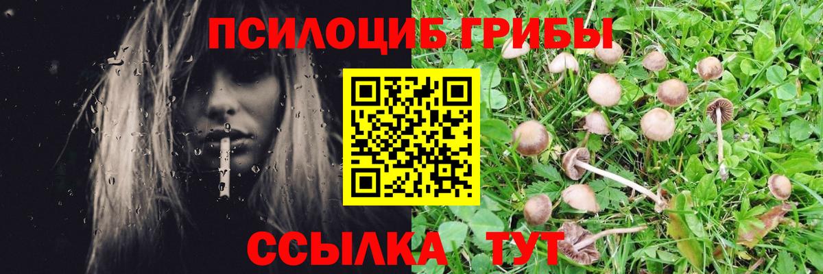 Галлюциногенные грибы мицелий  Вход с VPN  Азов 